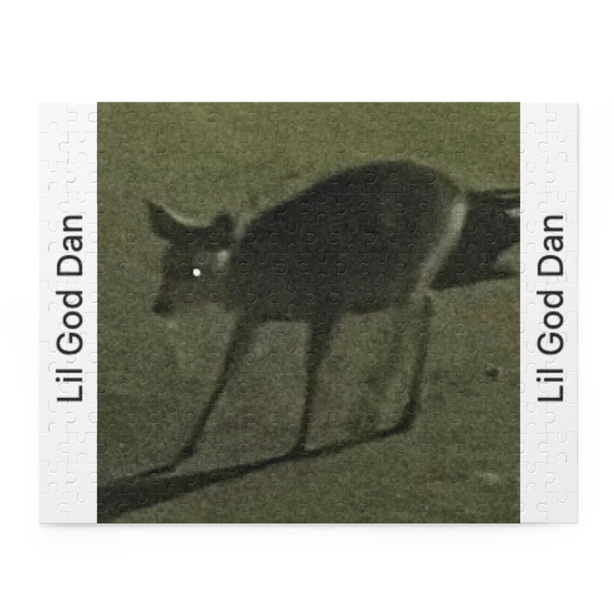 Lil God Dan